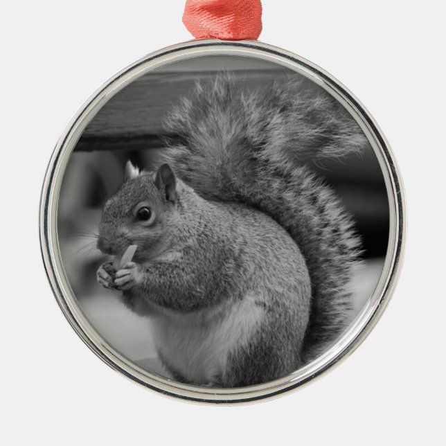 Eichhörnchen Silbernes Ornament (Vorne)