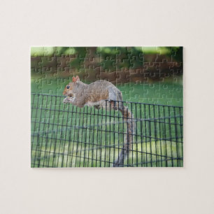 Eichhörnchen Snack, Puzzle, 20 cm x 25 cm, 110 Tei
