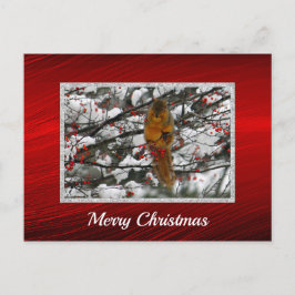 Eichhörnchen Snow Berry Tree Foto Weihnachten Postkarte