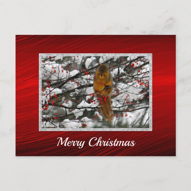 Eichhörnchen Snow Berry Tree Foto Weihnachten Postkarte (Vorderseite)