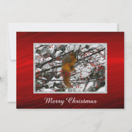 Eichhörnchen Snow Red Berry Tree Foto Weihnachtsfl Feiertagskarte