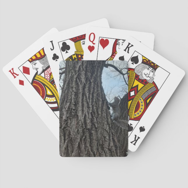 Eichhörnchen Spielkarten (Rückseite)