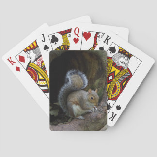Eichhörnchen-Spielkarten Spielkarten