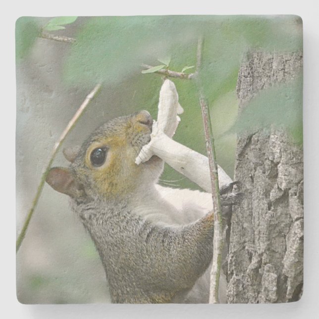 Eichhörnchen Steinuntersetzer (Vorderseite)