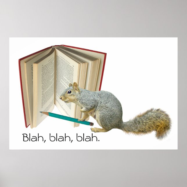 Eichhörnchen-Stift-Poster Poster (Vorne)
