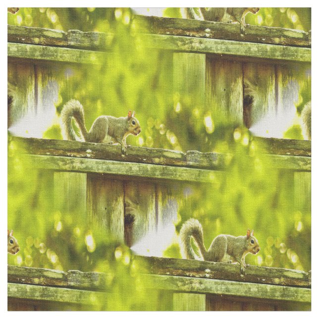 Eichhörnchen Stoff (Nahaufnahme)