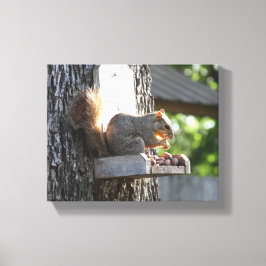 Eichhörnchen Stretched Canvas Print Leinwanddruck