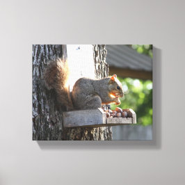 Eichhörnchen Stretched Canvas Print Leinwanddruck