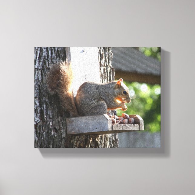 Eichhörnchen Stretched Canvas Print Leinwanddruck (Vorderseite)