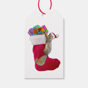 Eichhörnchen-Strumpf-Geschenk-Umbauten Geschenkanhänger