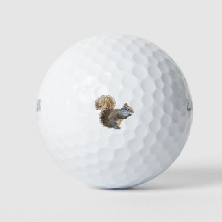 Eichhörnchen-Süsse Golfball