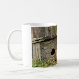 Eichhörnchen-Tasse Kaffeetasse