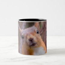 Eichhörnchen-Tasse