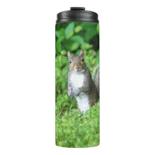 Eichhörnchen Thermosbecher