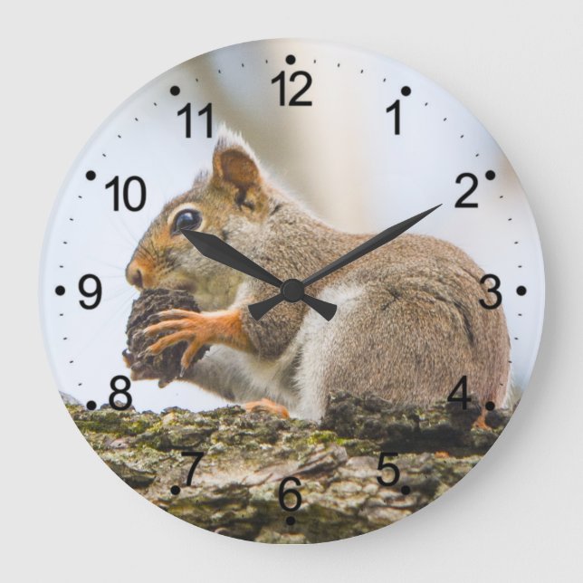 Eichhörnchen Tiere Waldland Natur Große Wanduhr (Vorderseite)