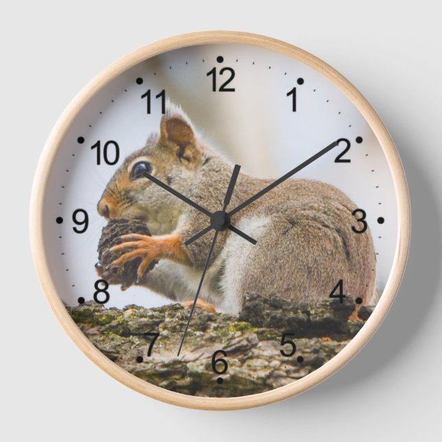 Eichhörnchen Tiere Woodland Kreaturen rund Holz Uhr (Vorderseite)