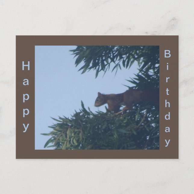 Eichhörnchen "Tree Happy Birthday Postcard" Postkarte (Vorderseite)