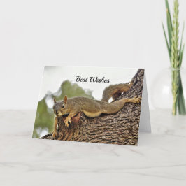 Eichhörnchen Tree Hochzeit Glückwunsch Karte