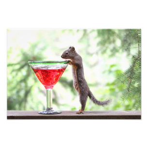 Eichhörnchen trinken einen Cocktail Fotodruck