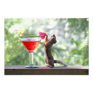 Eichhörnchen trinken einen Cocktail in Happy Hour Fotodruck