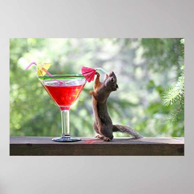 Eichhörnchen trinken einen Cocktail in Happy Hour Poster (Vorne)