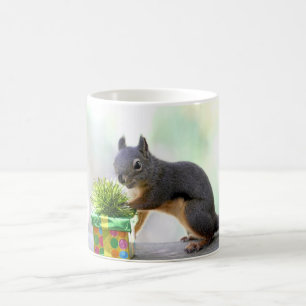 Eichhörnchen und eingewickeltes Geschenk Kaffeetasse