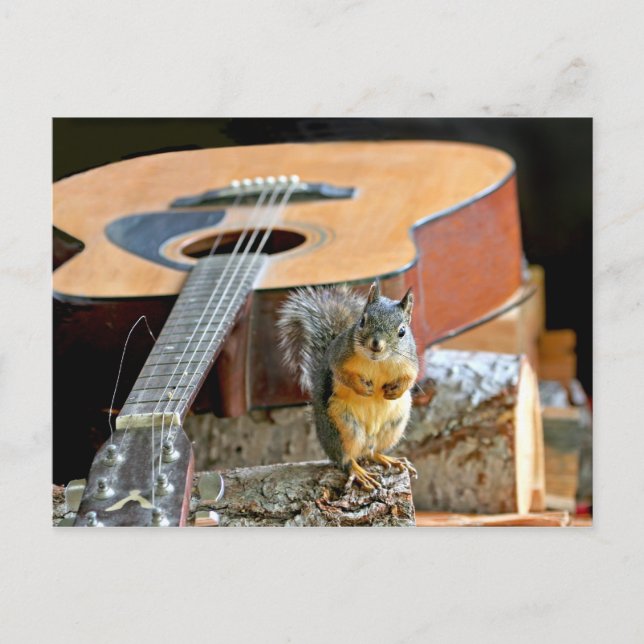 Eichhörnchen und Gitarre Postkarte (Vorderseite)
