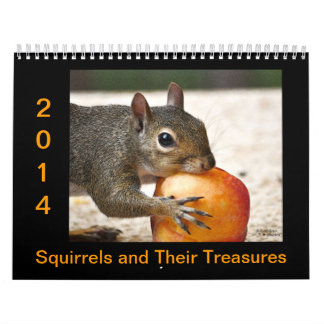 Eichhörnchen und ihre Schätze Kalender