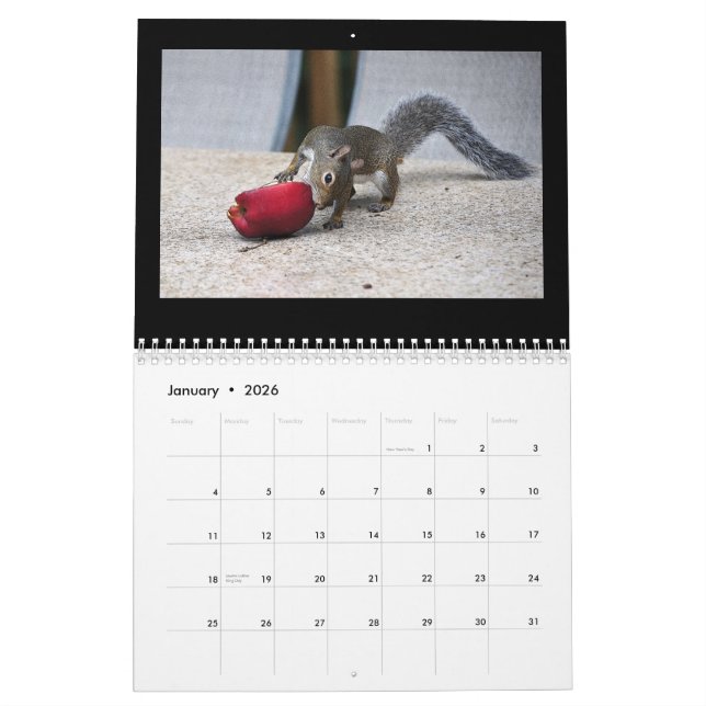 Eichhörnchen und ihre Schätze Kalender (Jan 2026)