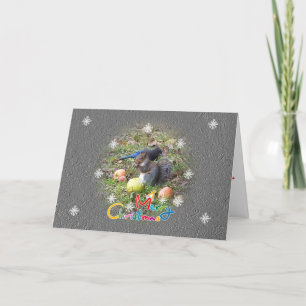 Eichhörnchen und Steller Jay Friends Weihnachtskar Feiertagskarte