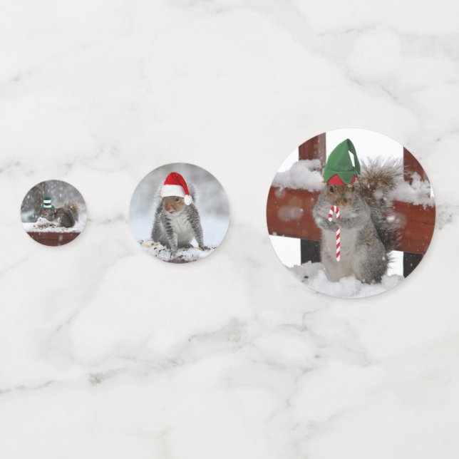 Eichhörnchen und Weihnachtshatsch Confetti Konfetti (Vorderseiten)