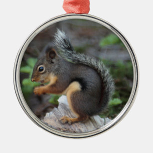 Eichhörnchen-Verzierung Silbernes Ornament