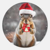 Eichhörnchen von Weihnachtsfocken mit Weihnachtsma