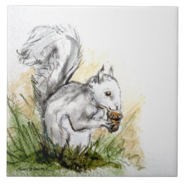 Eichhörnchen weg. . . fliese