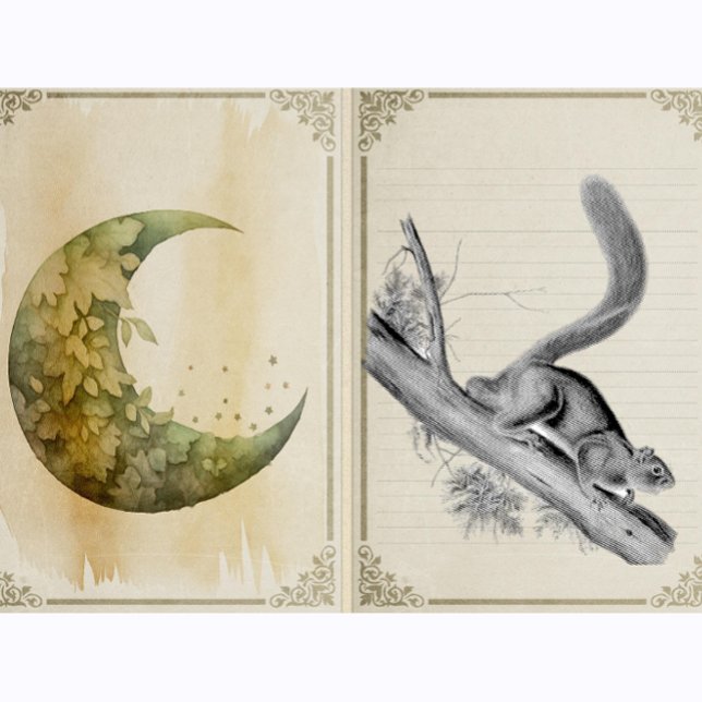 Eichhörnchen Wildtiere Vintag Illustration Gummistempel (Von Creator hochgeladen)