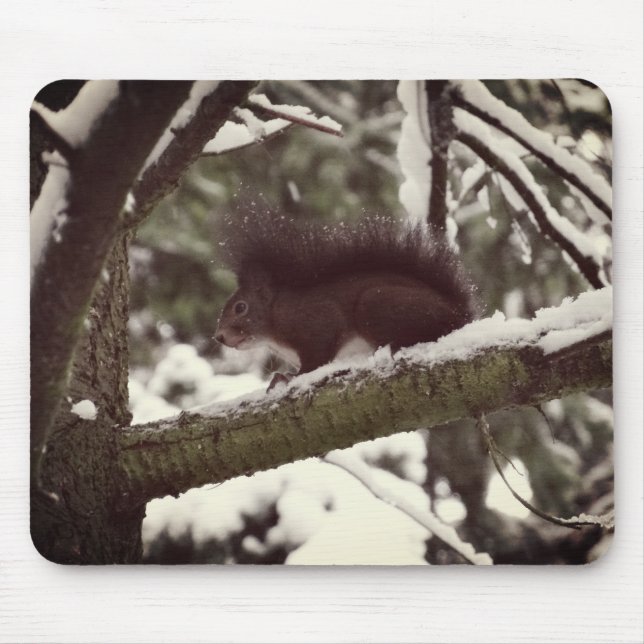 Eichhörnchen Winter Foto Mousepad (Vorne)