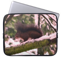 Eichhörnchen Winter Foto Neoprenschläfer 15"