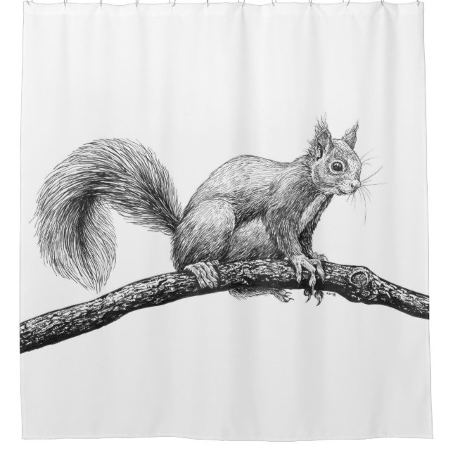 Eichhörnchen zeichnend duschvorhang (Vorderseite)