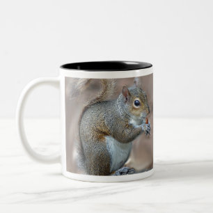 Eichhörnchen Zweifarbige Tasse