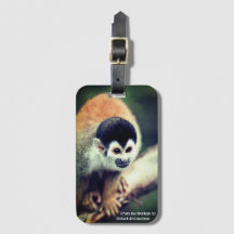 Eichhörnchenaffe im Baum