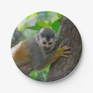 Eichhörnchenaffe Manuel Antonio NP - Costa Rica Pappteller