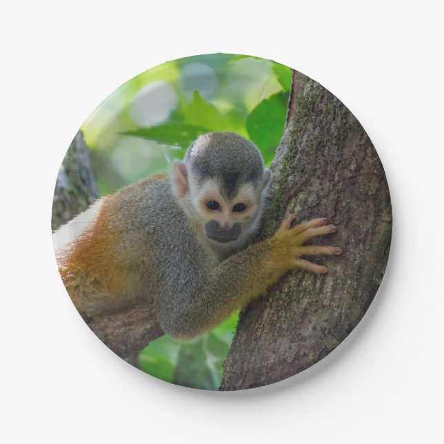 Eichhörnchenaffe Manuel Antonio NP - Costa Rica Pappteller (Vorderseite)