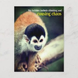 Eichhörnchenaffe Postkarte