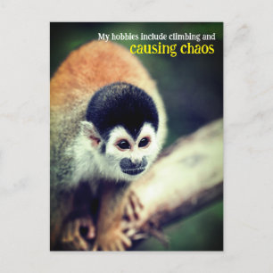 Eichhörnchenaffe Postkarte