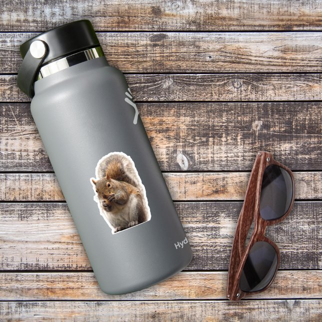 Eichhörnchenaufkleber Aufkleber (Birthday Depot
Squirrel Sticker)