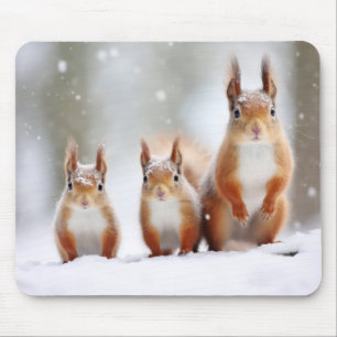Eichhörnchenfamilie Wandernatur Mousepad