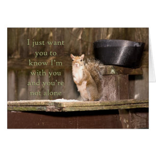 Eichhörnchenfotografie Sie sind nicht allein Notec