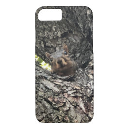 Eichhörnchengehäuse Case-Mate iPhone Hülle