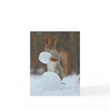Eichhörnchenhalter und Nibbling Snowball