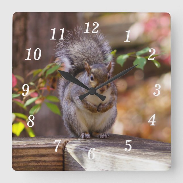Eichhörnchenhalterung Quadratische Wanduhr (Vorderseite)